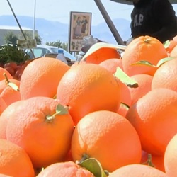 Wandelaars in een droge rivierbedding nabij Agost