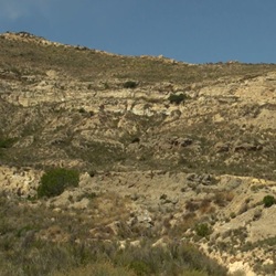 Rivieroevers in Algorfa