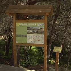 Citrusvelden in Algorfa