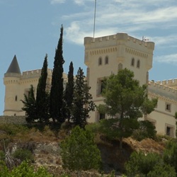 Internationale gemeenschap in Algorfa Internationale gemeenschap in Algorfa