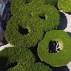 Almoradí citrusplantages