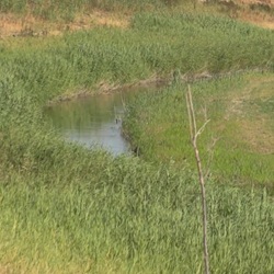 Pad naar Santuario de la Virgen del Pilar in de natuur