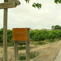 Parque Cañada Marsá