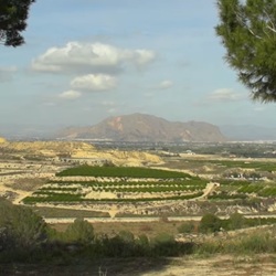 Rustige natuur bij Bigastro