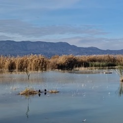Historisch straatbeeld in Catral