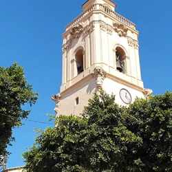 Straatbeeld met palmen in Catral