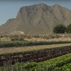Landschap met berg en velden bij Cox