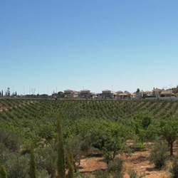 Bloeiende voorjaarsvegetatie in Los Montesinos