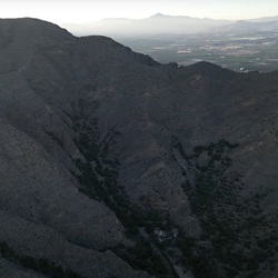 Natuur rondom Rafal met palmbomen en citrusvelden