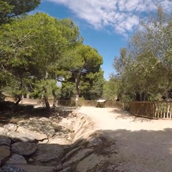 Flamingo's in natuurgebied Flamingo's nabij Rojales