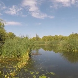 Donderdagmarkt in het centrum van Rojales Markt in Rojales