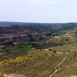 Groen in het centrum van Rojales