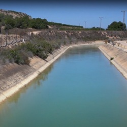 Wandelpad tussen dennen in San Miguel de Salinas