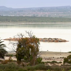 Zoutmeer met flamingo's bij Torrevieja