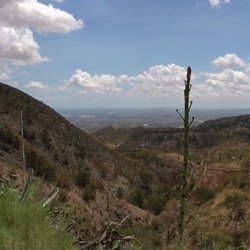 Beschermd natuurgebied bij Crevillent