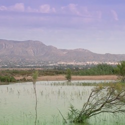 Groene wandelzone Cañada Joana in Crevillent