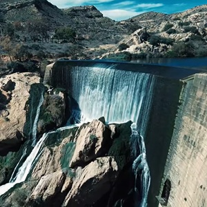 Palmeral van Elche met dadelpalmen en zonlicht