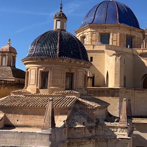 Uitzicht over Elche met palmbomen en stad op achtergrond