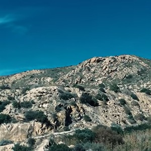 Granaatappelboom en mediterrane beplanting rond Elche