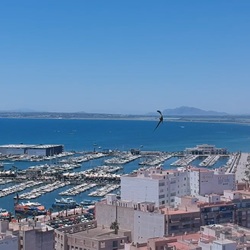 Zoutwinning Santa Pola Zoutvlaktes van Santa Pola