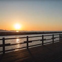 Flamingo's in de zoutvlaktes Flamingo's in de zoutvlaktes van Santa Pola