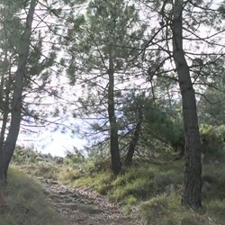 Uitzicht vanaf Montcabrer