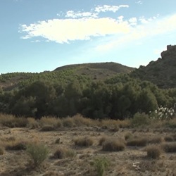 Rivierdal met amfibieën nabij Aspe