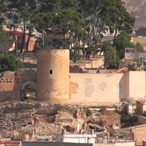 Aromatische planten zoals lavendel in de omgeving van Elda