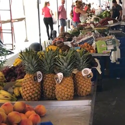 Tafels onder pijnbomen met uitzicht op vallei