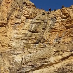Uitzicht op wijngaarden bij Monforte del Cid