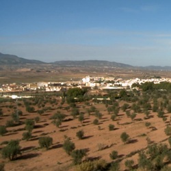 Traditionele straat in Pinoso