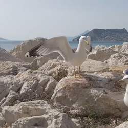 Cala Les Bassetes strand nabij Calp