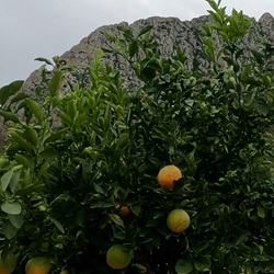 Ambachtelijke keramiek El Verger