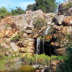 Boomgaarden rond Pedreguer