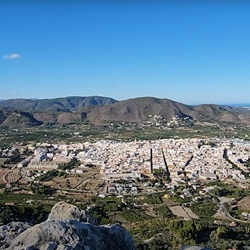 Espartogras en mediterrane flora