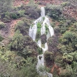 Wijngaarden bij Teulada