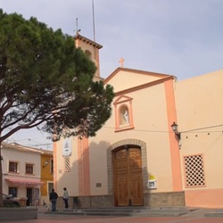 Symbolische pijnboom op het centrale plein