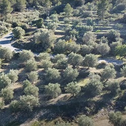 Rotsachtig berglandschap bij La Nucia