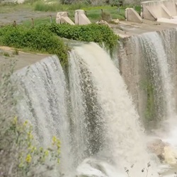 Citrusboomgaard in Mutxamel