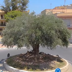 Sant Joan d'Alacant landschap