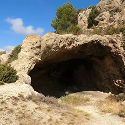 Serra de Mariola bij Banyeres Bloeiende kruiden in natuurpark Serra de Mariola