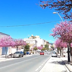Castillo de Castalla op de heuvel