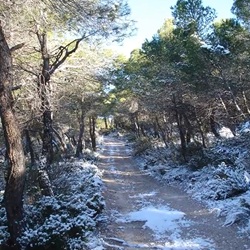 Wandelroute Xorret de Catí