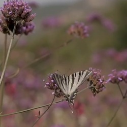Uitzicht op Sierra de Mariola vanaf wandelpad
