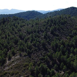 Sierra de Mariola bij Onil