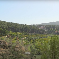 Uitzicht op natuurgebied bij Biar
