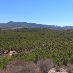 Wandelen in Sierra de Cabreras