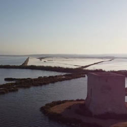 El Hondo: natuurgebied bij San Fulgencio Vogels in natuurgebied El Hondo